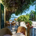 Paradiso 아로나