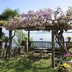 Paradiso Арона
